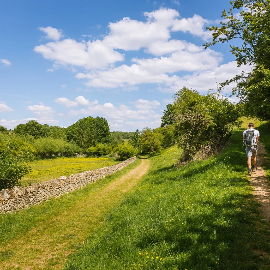 cotswolds way walk england