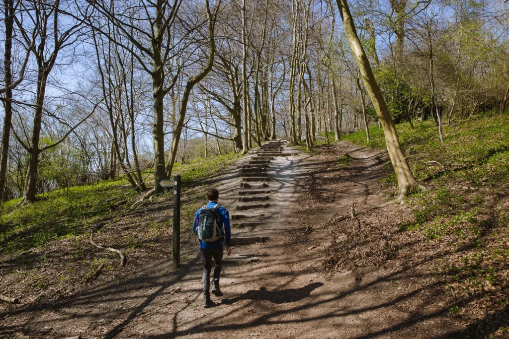 Ivinghoe Beacon Ridgeway 2