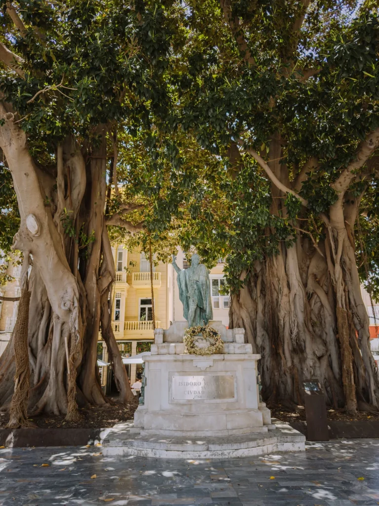 The bronze statue of Isidoro Máiquez framed by the enormous ancient ficus trees in the Plaza de San Francisco, Cartagena, Spain, with dappled sunlight filtering through the canopy, a floral wreath laid at the plinth, and a yellow colonial-style building visible behind
