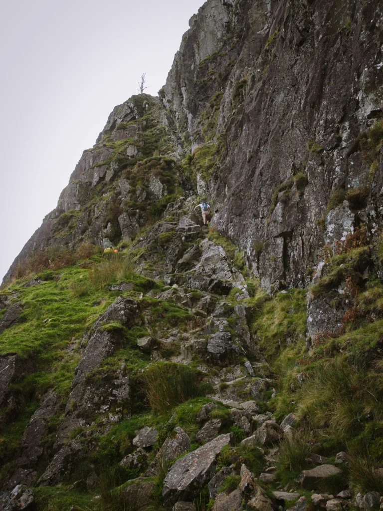 Langdale Pikes Jacks Rake