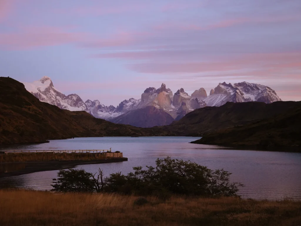 Paine Puente Weber