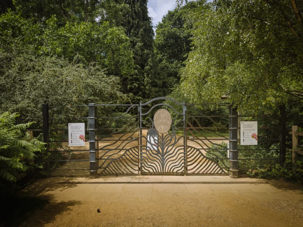 Richmond Park Isabella Plantation