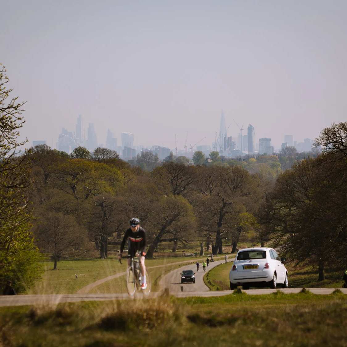 Richmond Park View uai