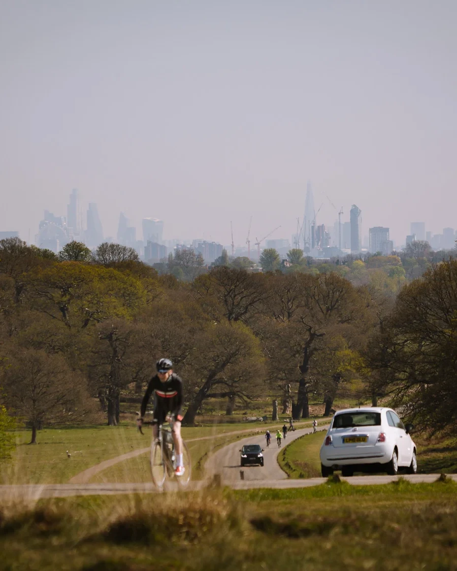 Richmond Park View uai