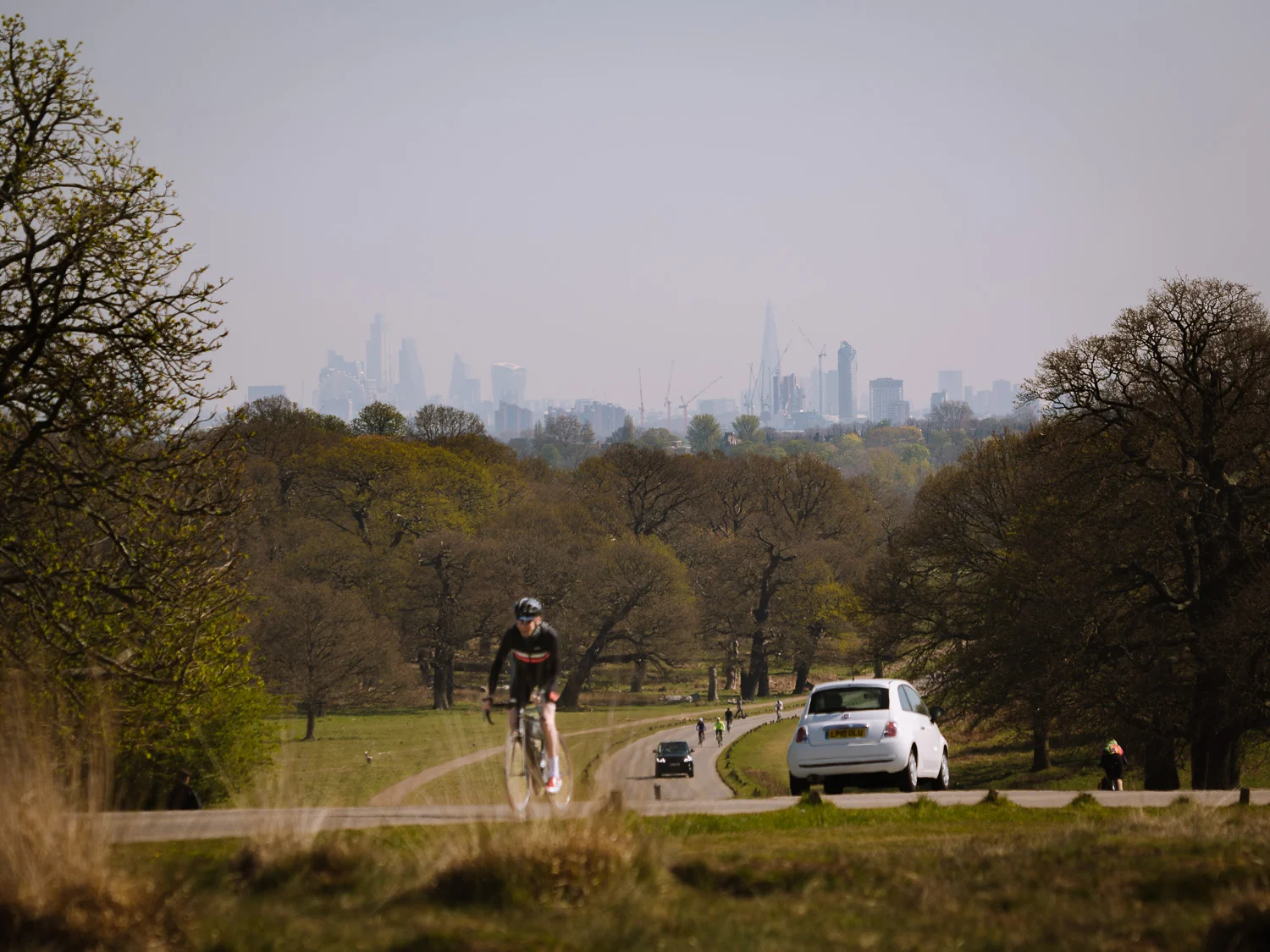 Richmond Park View