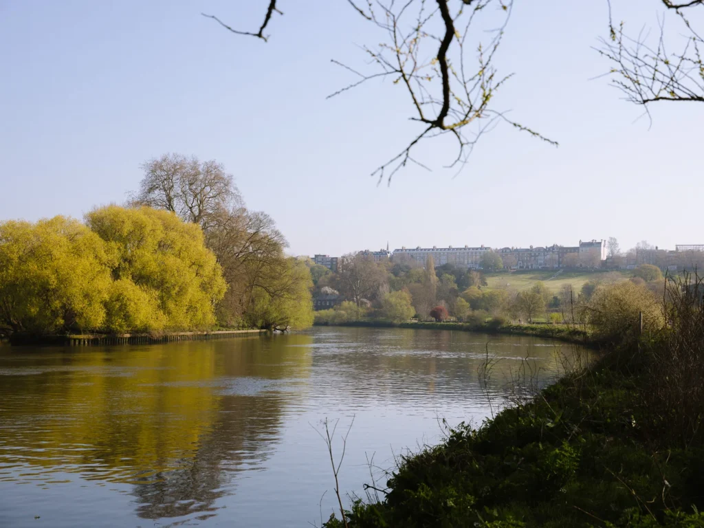 Richmond Thames Footpath