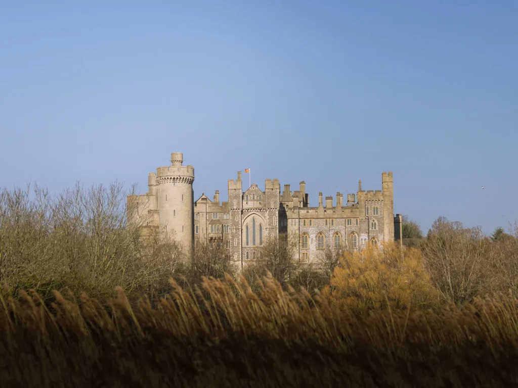 Arundel Castle's keep and battlements rising above trees, seen across golden reeds and water meadows