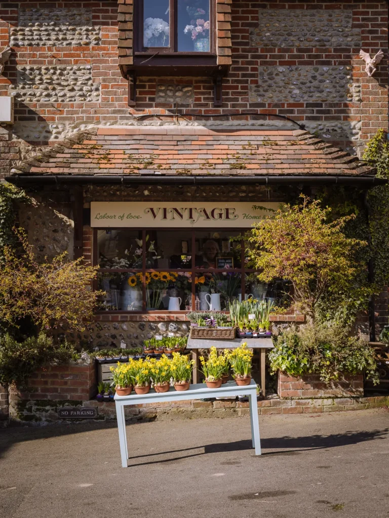 Pots of yellow daffodils and spring bulbs displayed on tables outside a vintage homewares shop, set into a flint and red-brick building in Arundel, West Sussex.