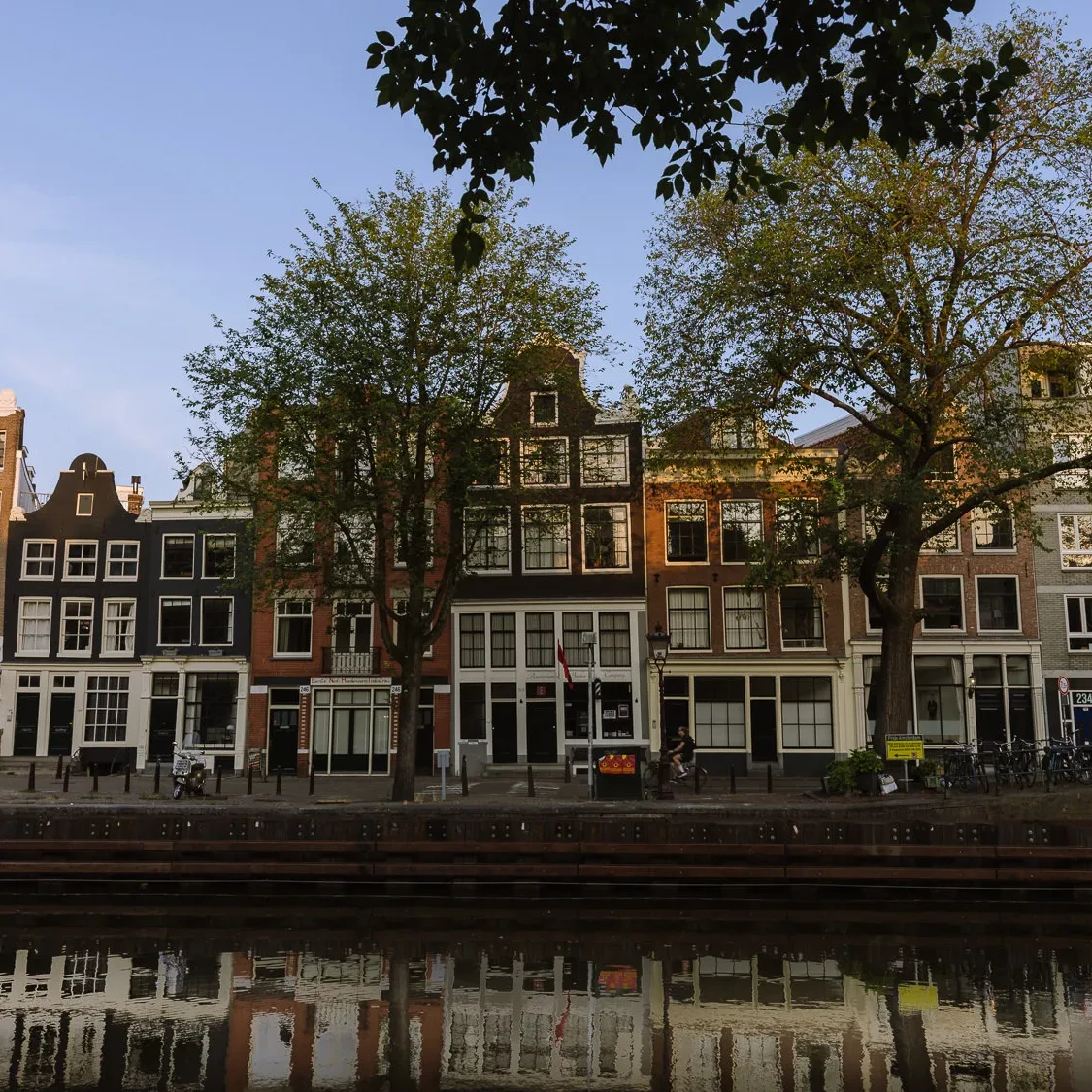 Tall canal houses with large trees along a quiet Amsterdam canal, reflected in the water at sunset