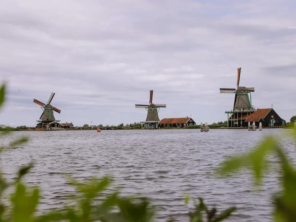 Wide view of three windmills across the water at Zaanse Schans, framed by leaves in the foreground